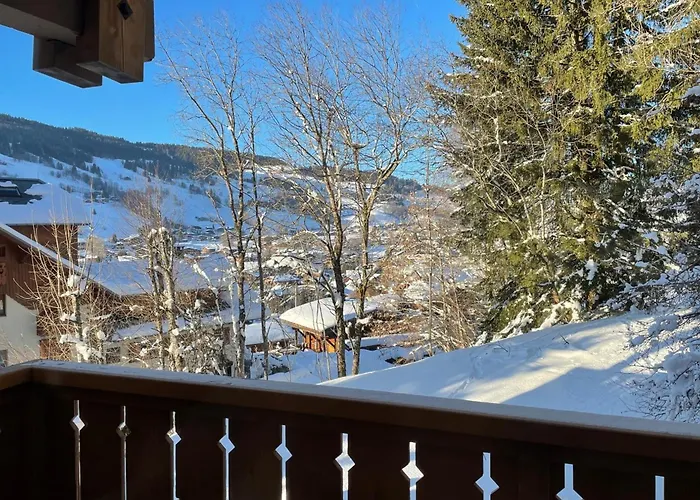 Les Coteaux Verts Appartement Megève